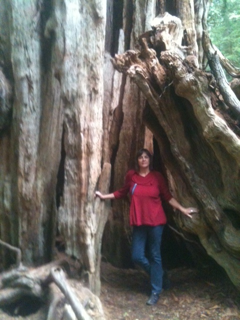 me-and-great-cedar
